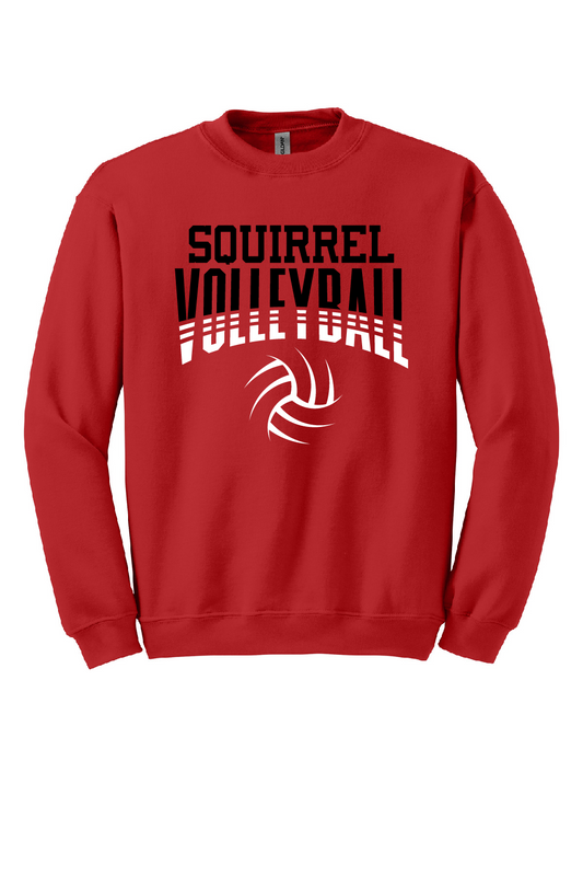 CC Volleyball Crewneck Sweatshirts!